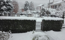 Nevicherà tra domani e Martedì in Emilia Romagna??