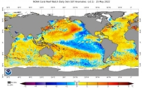 Oceani: Anomalie delle Temperature Superficiali