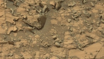 La NASA ha trovato accidentalmente un’antica statua sumera sulla superficie di Marte?