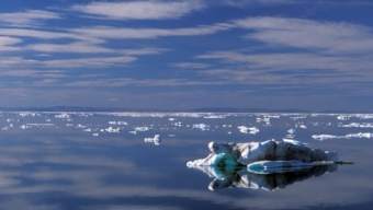 Artico sempre più minacciato da riscaldamento globale