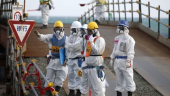 Per secoli dei secoli: il disastro di Fukushima provoca numerose “mutazioni genetiche”