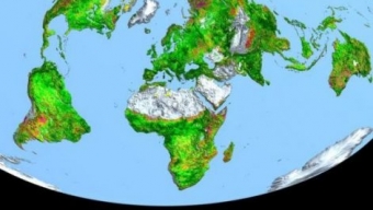 Terra più verde per merito dell’anidride carbonica