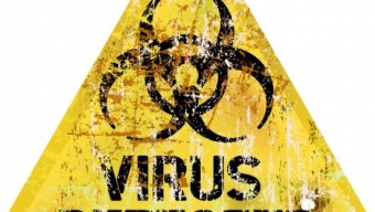 Torna anche il Virus dell’Influenza Suina in Italia
