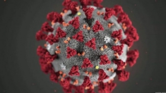 Coronavirus, l’esperto americano di bioterrorismo: “Creato in laboratorio, è un’arma da guerra biologica”