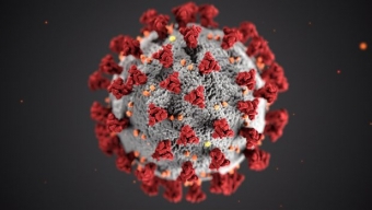 La pandemia globale di Coronavirus? Simulata nel 2019
